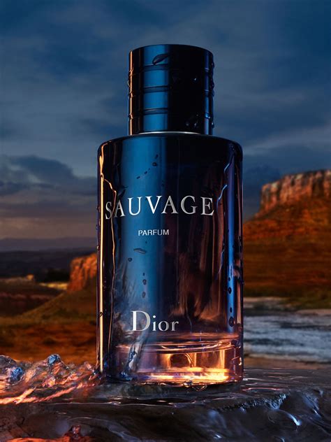 dior sauvage rabatt|dior sauvage cologne for women.